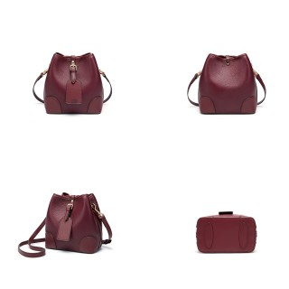 Women's Small Leather Bucket Drawstring Crossbody Bag